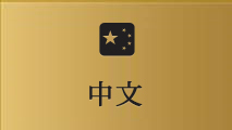 中文